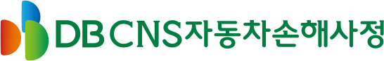DB CNS자동차손해사정 시그니처 로고
